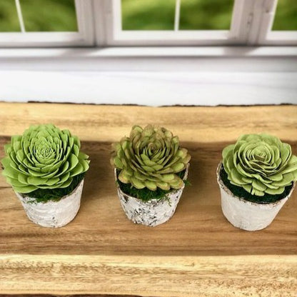 Wood Faux Succulent in Birch Container