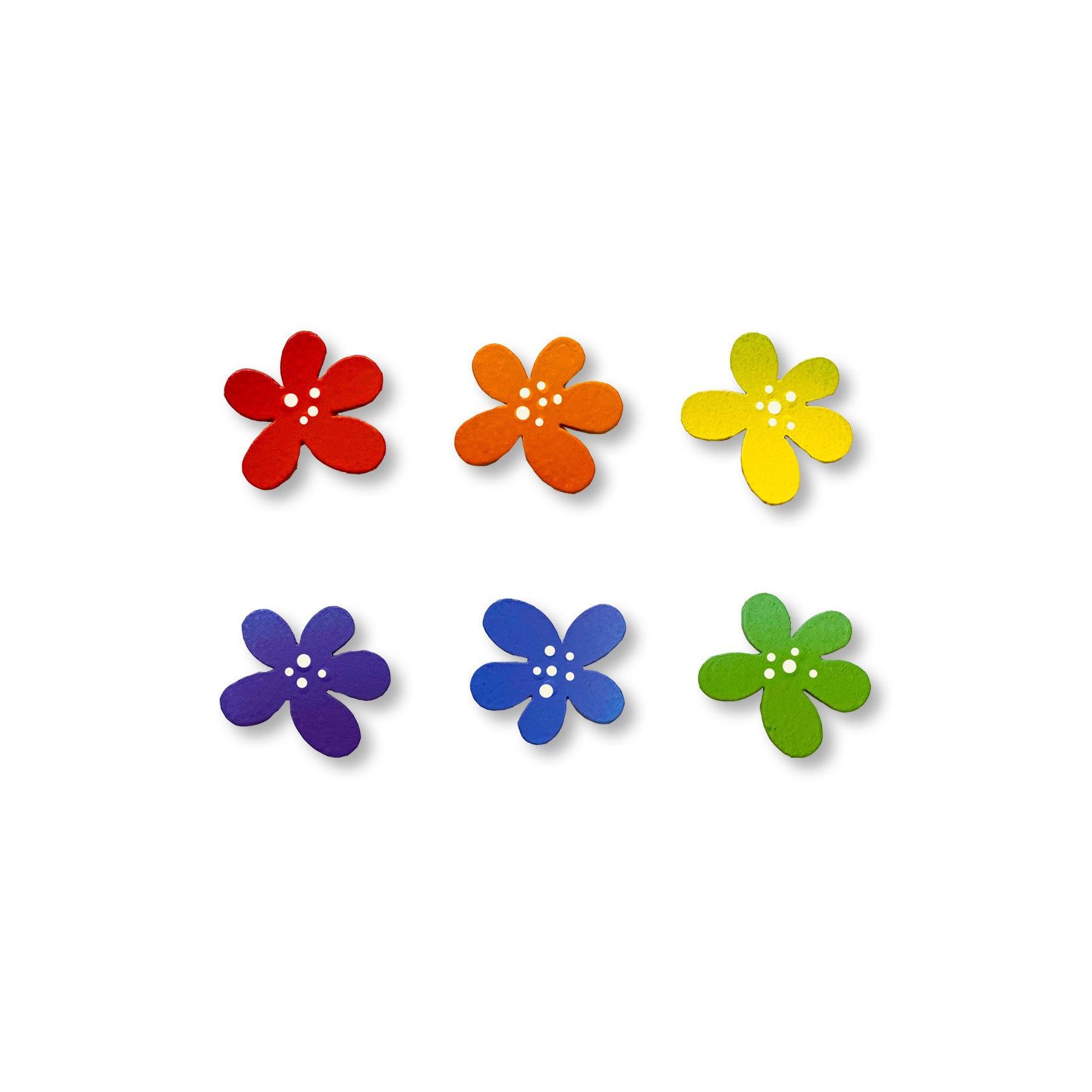 Flower Magnets S/6 Summer Rainbow