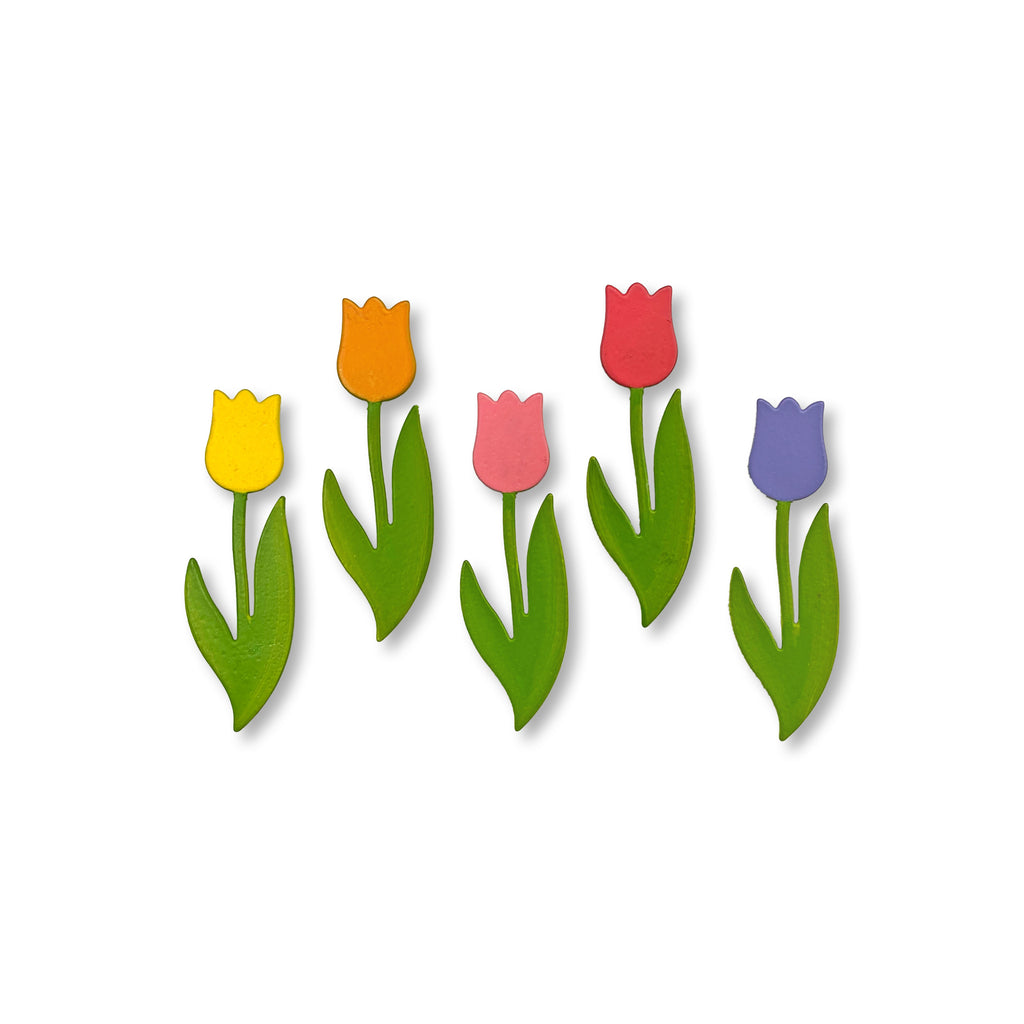 Tulip Magnets S/5 Rainbow