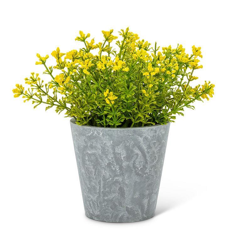 Flowering Plant Pot