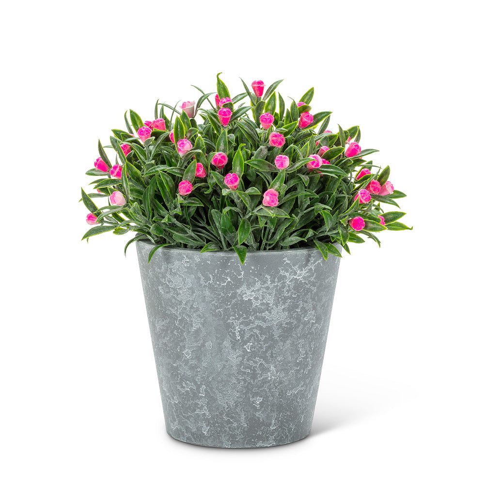 Flowering Plant Pot