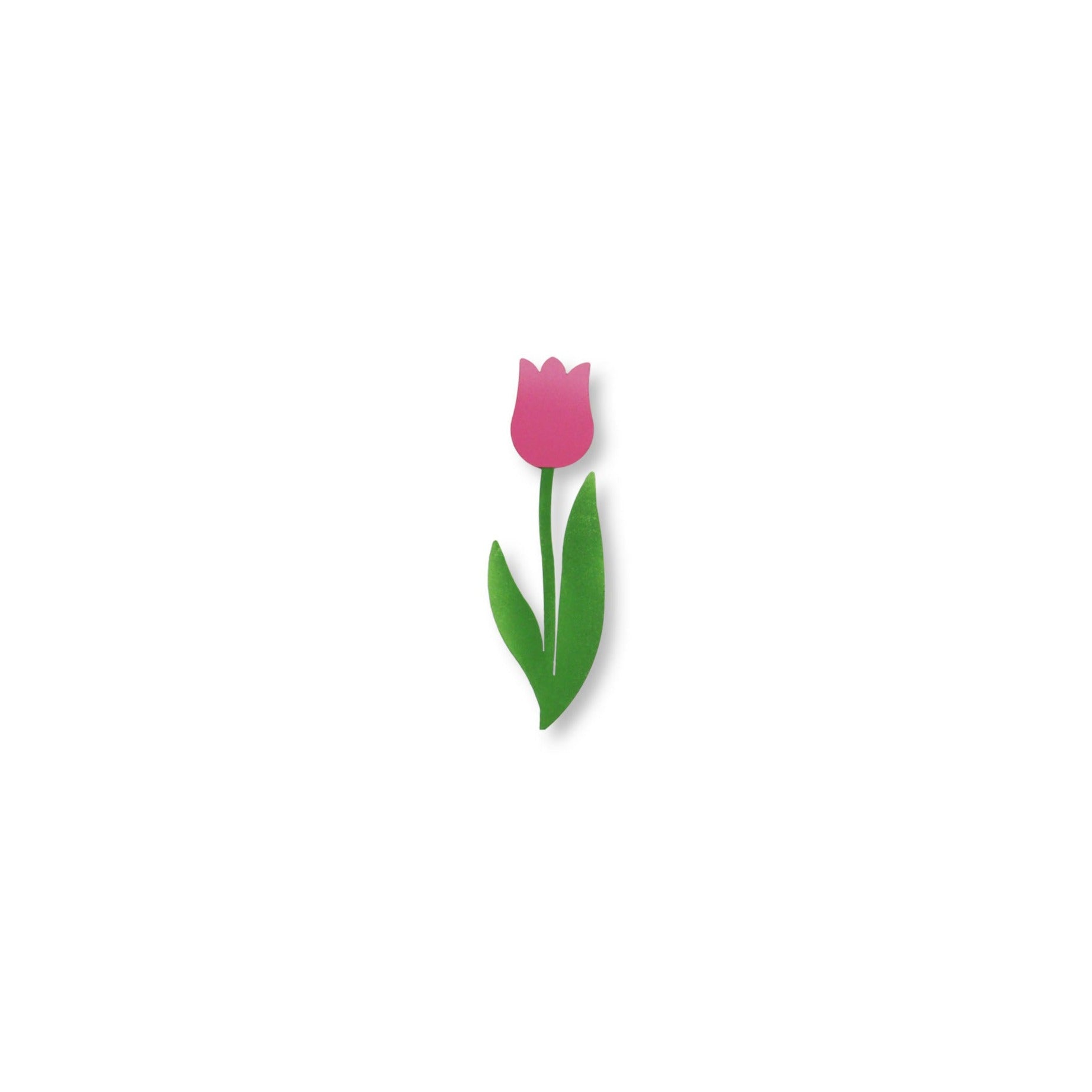 Tulpenmagnet Rosa
