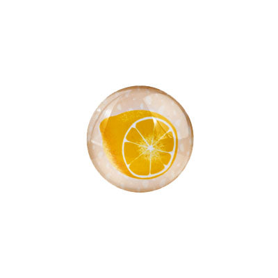 Retro Lemon Magnets (sold individually)