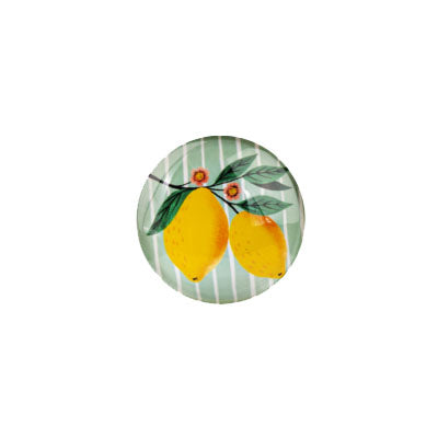 Retro Lemon Magnets (sold individually)