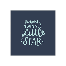 Petal Lane Twinkle Twinkle Canvas Magnet