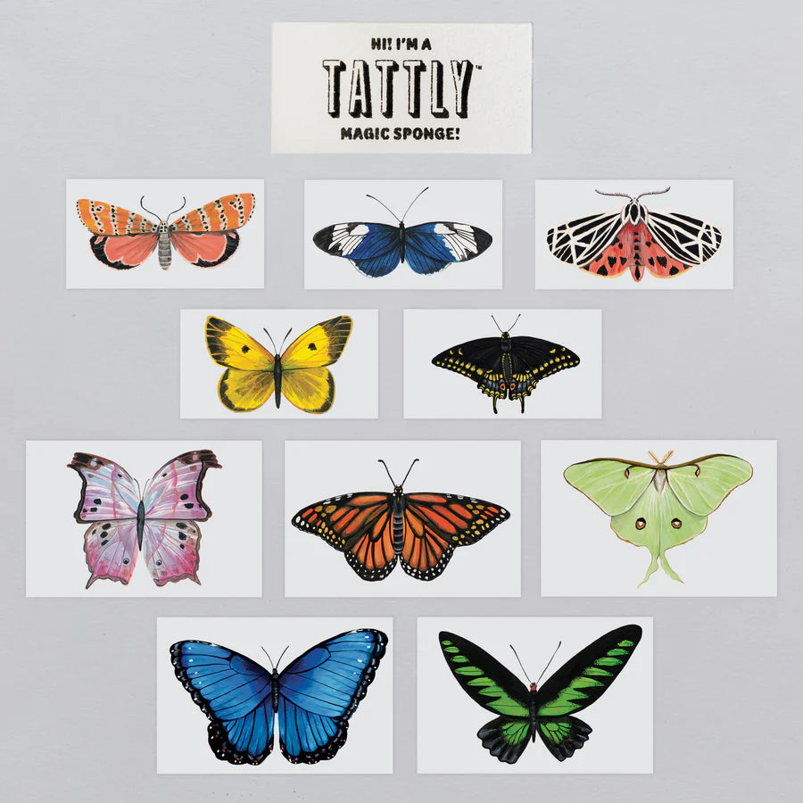 Tattly Butterfly Tattoo Tiny Tin
